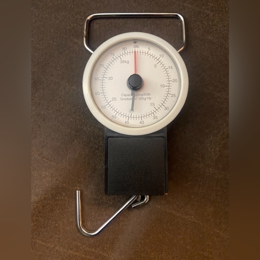 Luggage scale